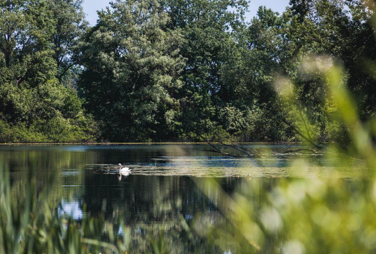 Rajski Vrt - Lake House - Paradise Garden Sisak Esterno foto